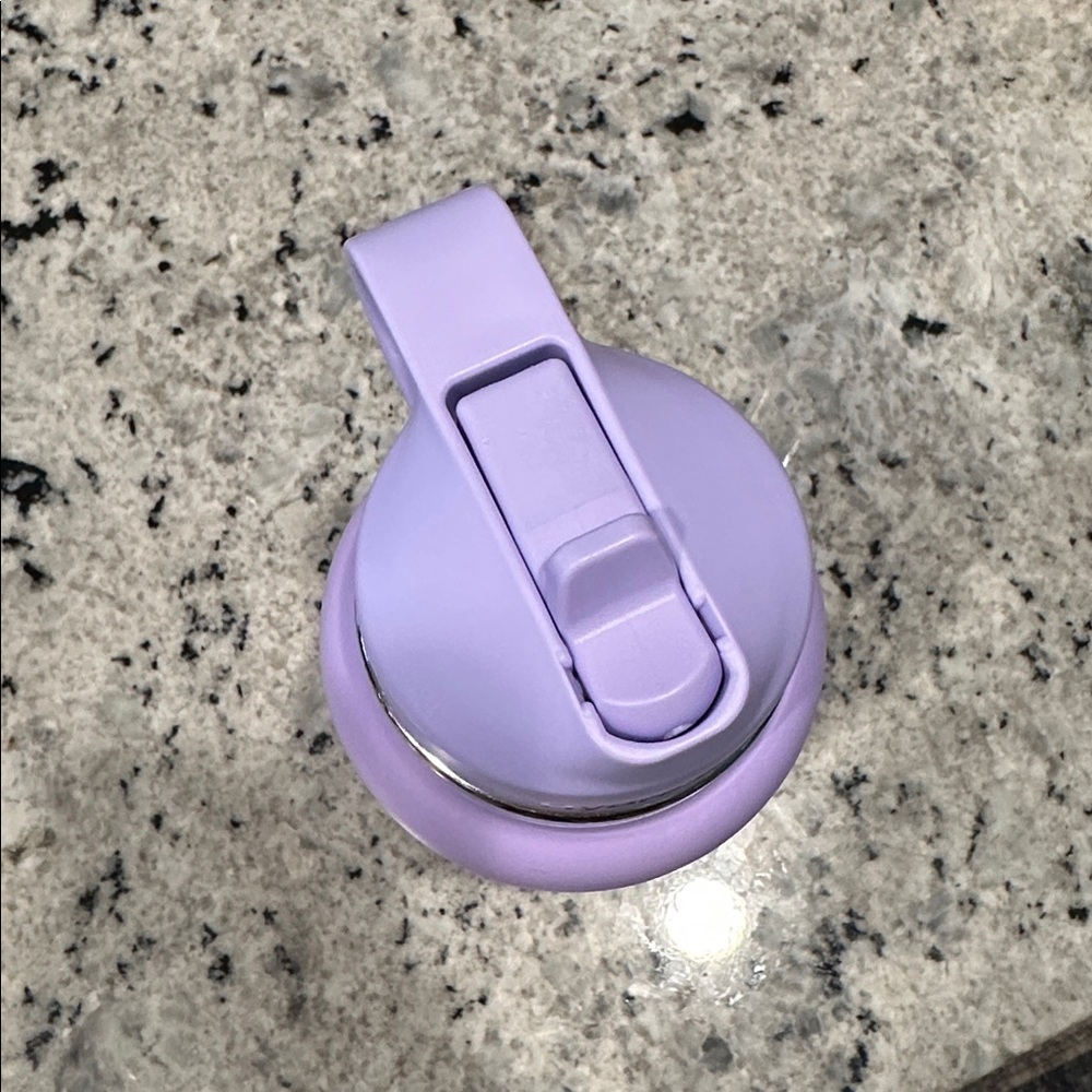 Limited Edition Hydro Flask Thistle Nordstrom Purple lavender tumbler - Picture 6 of 10